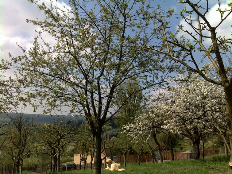 ASKAN_19_4_09_2.jpg
