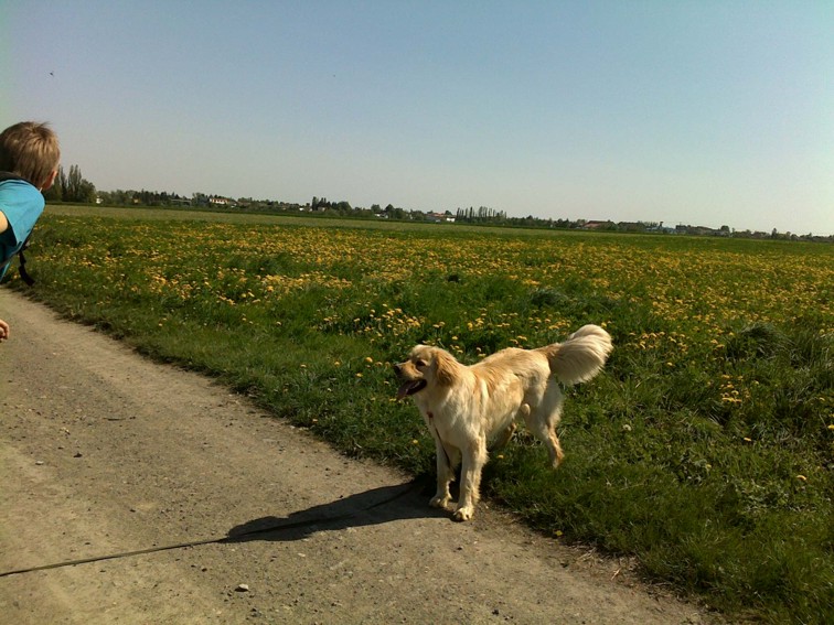 ASKAN_2_5_09_5.jpg