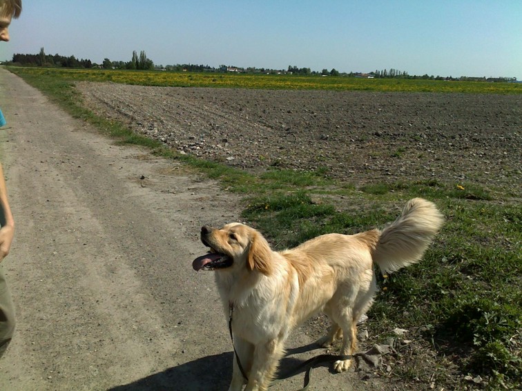 ASKAN_2_5_09_7.jpg