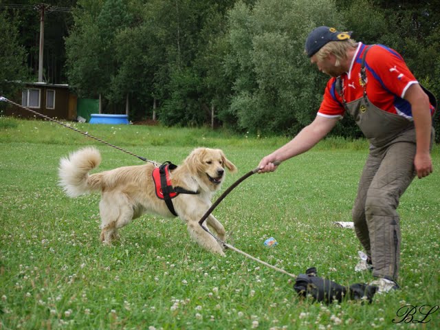 zbraslav_7_09_320.jpg