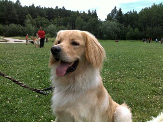 240720091762.jpg