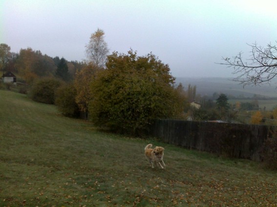 03_ASKAN_31_10_09.jpg