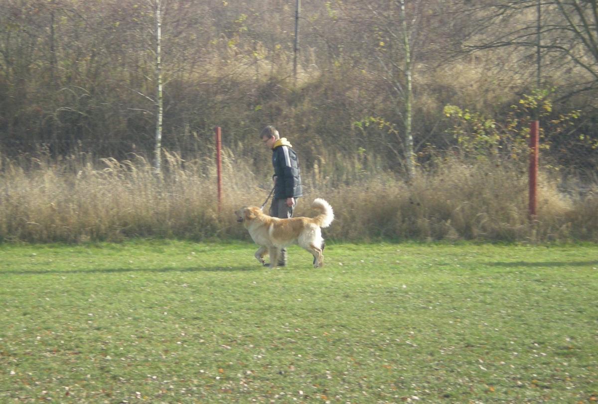 DSCN0873.jpg