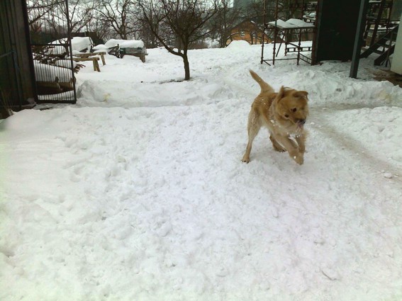 04_ASKAN_18_2_2010.jpg
