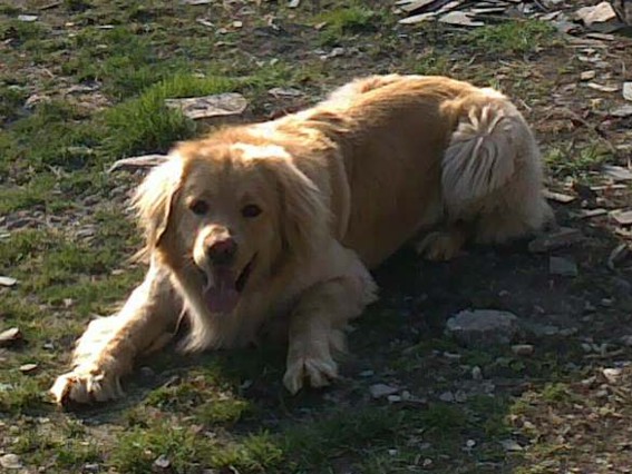 07-ASKAN_6_4_2010.jpg