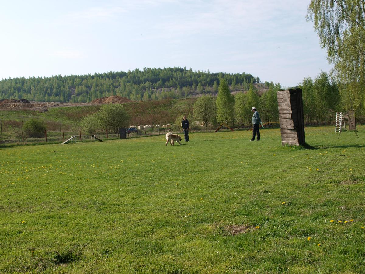 P5092197.jpg