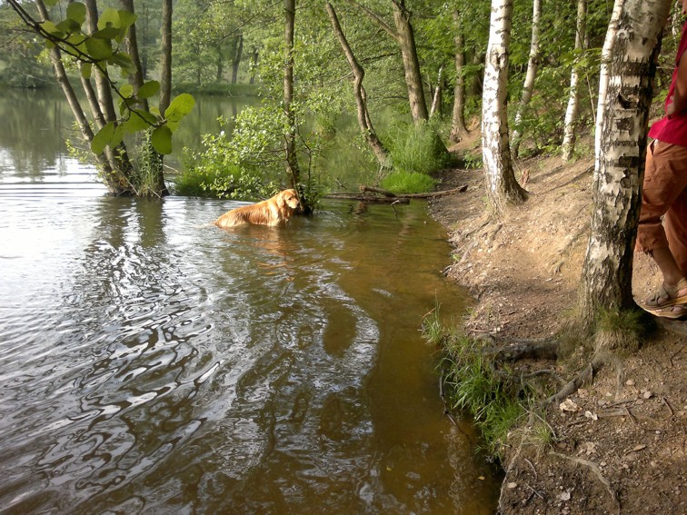 koupani_4